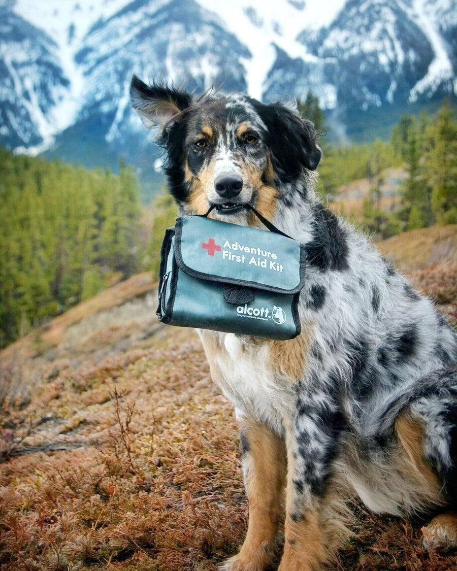 alcott first aid kit dog carrying on hike