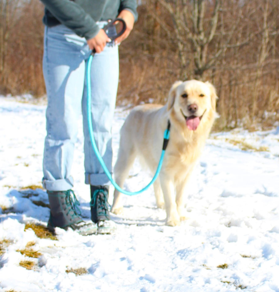 alcott rope leash on a snowy walk