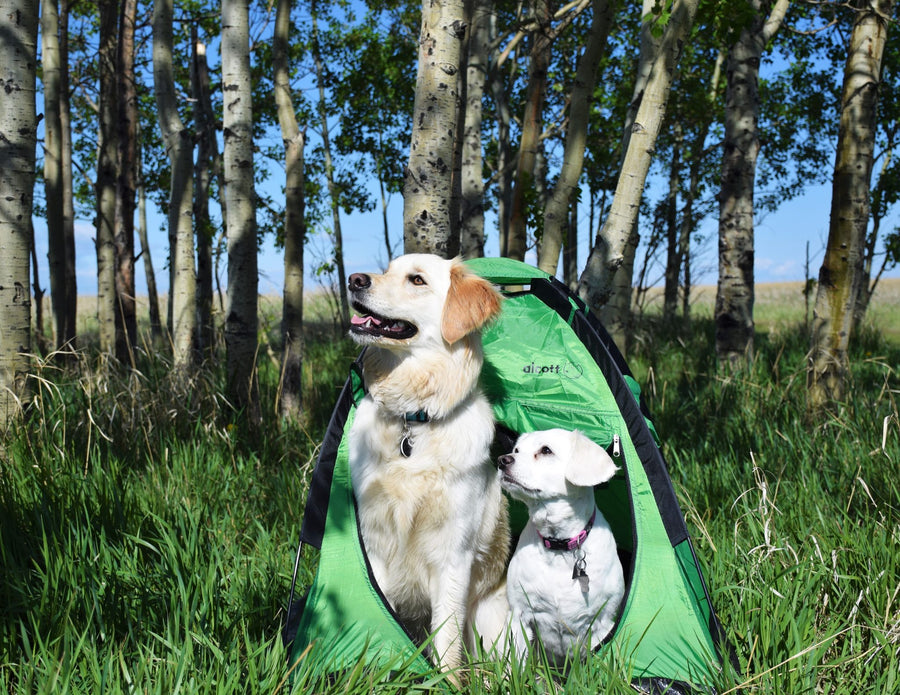 alcott pup tent two dogs aspen grove