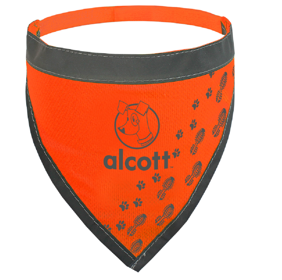 visibility dog bandana in neon orange