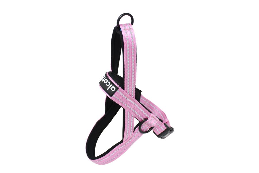 adventure kit in pink: norwegian harness