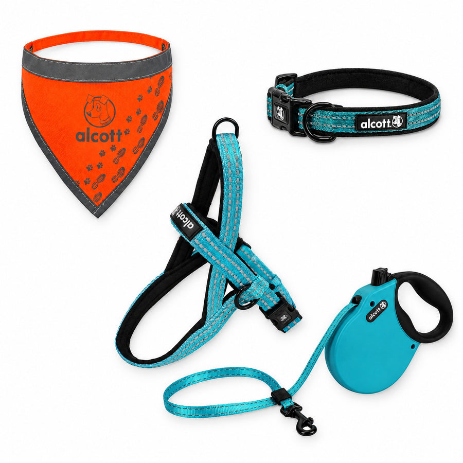 adventure kit with the retractable leash: norwegian harness, retractable leash, adventure collar and neon orange visibility bandana