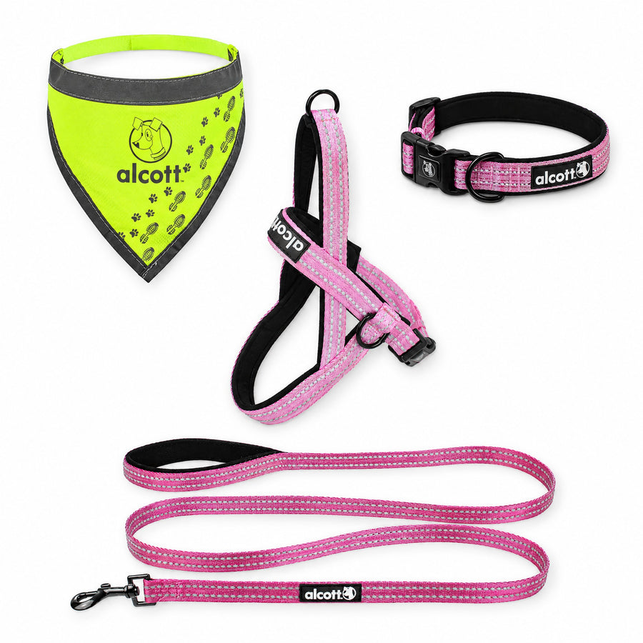 adventure kit with the adventure leash: norwegian harness, adventure leash, adventure collar and neon yellow visibility bandana