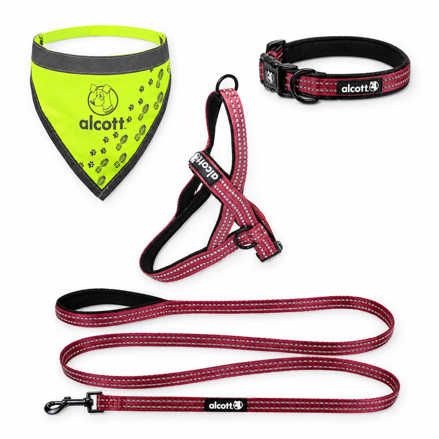 adventure kit with the adventure leash: norwegian harness, adventure leash, adventure collar and neon yellow visibility bandana