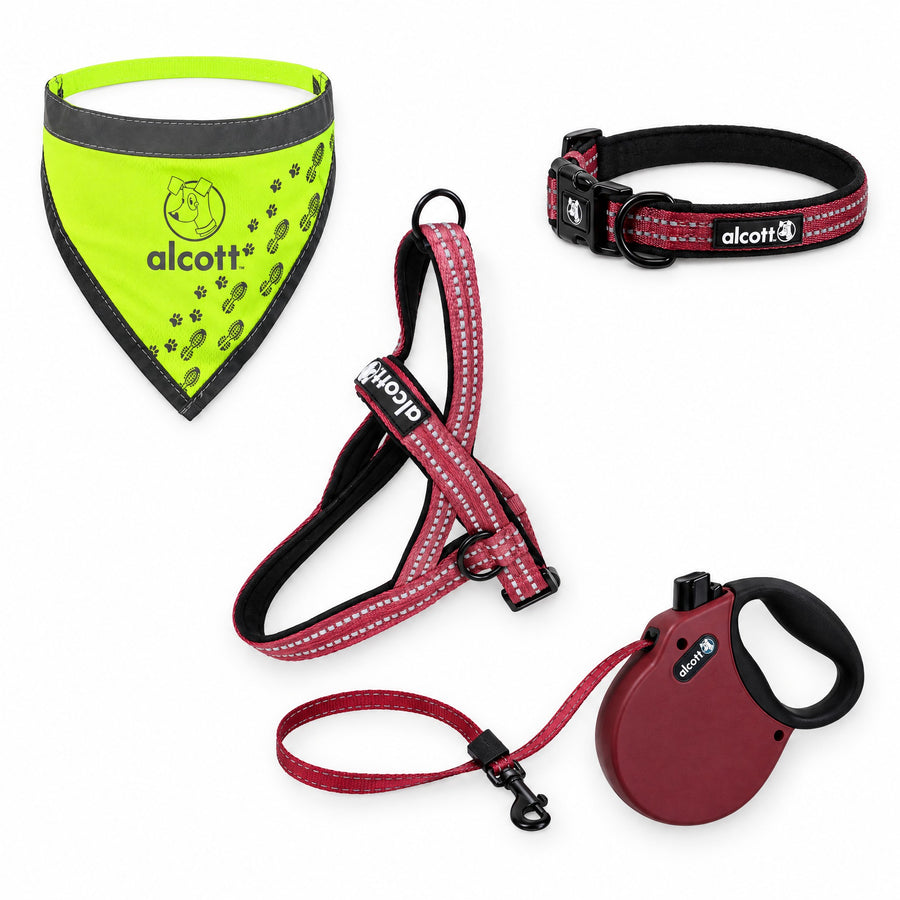 adventure kit with the retractable leash: norwegian harness, retractable leash, adventure collar and neon yellow visibility bandana