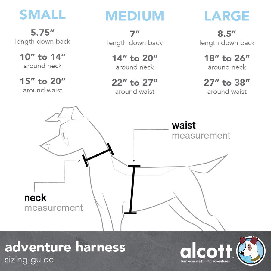 adventure harness