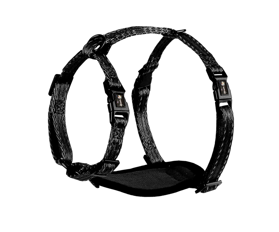 adventure harness