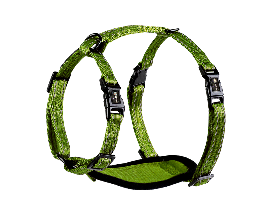 adventure harness