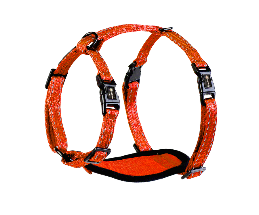 adventure harness