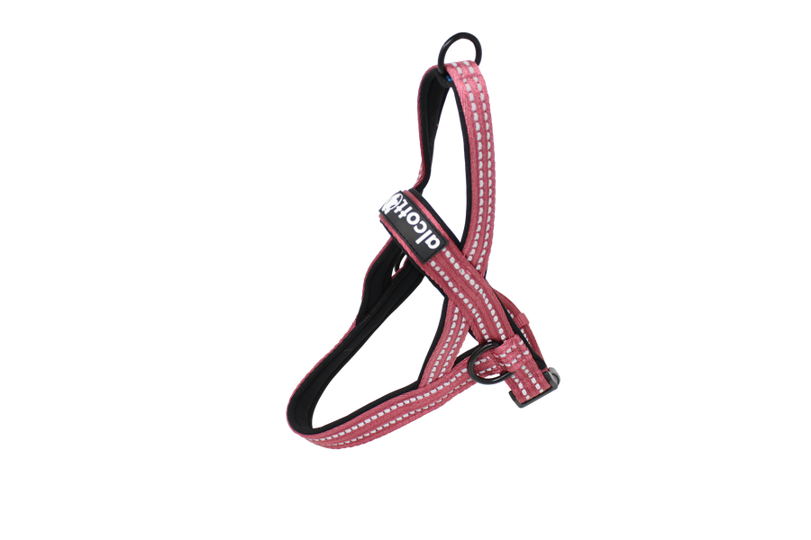 norwegian harness in red