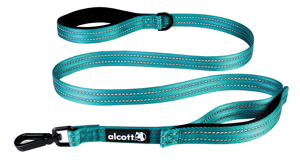 traffic leashes – alcott