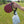 Load image into Gallery viewer, alcott Waste Bag Carrier