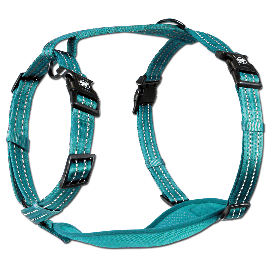 adventure harness