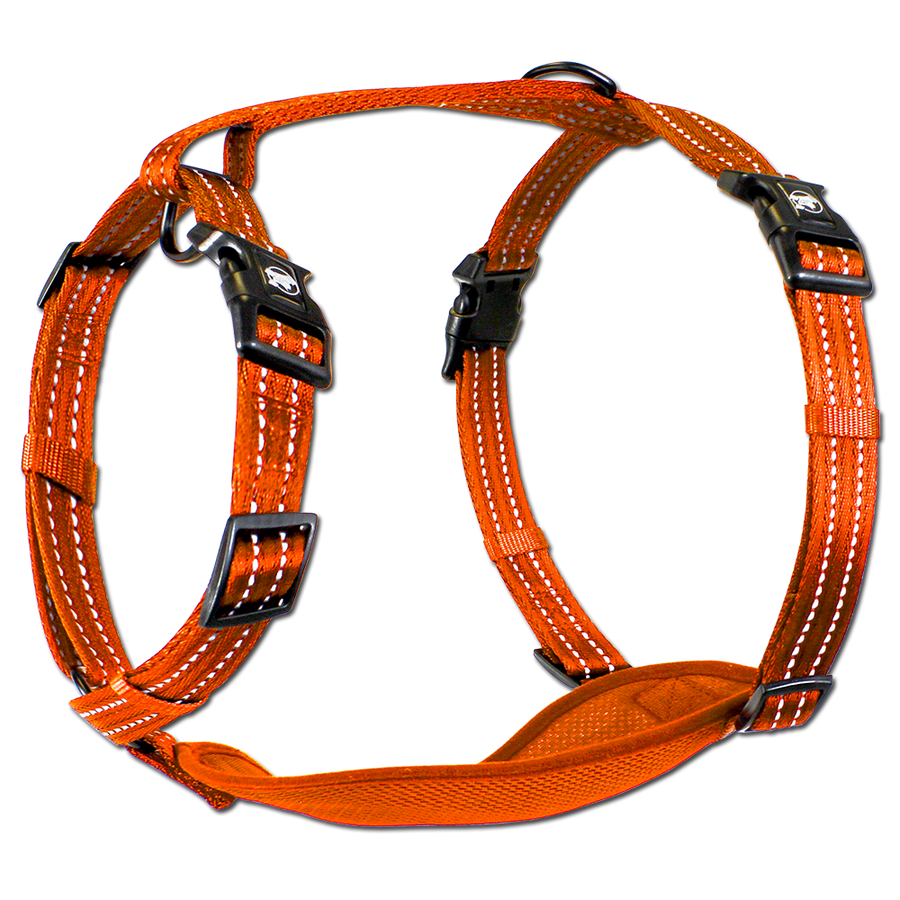adventure harness