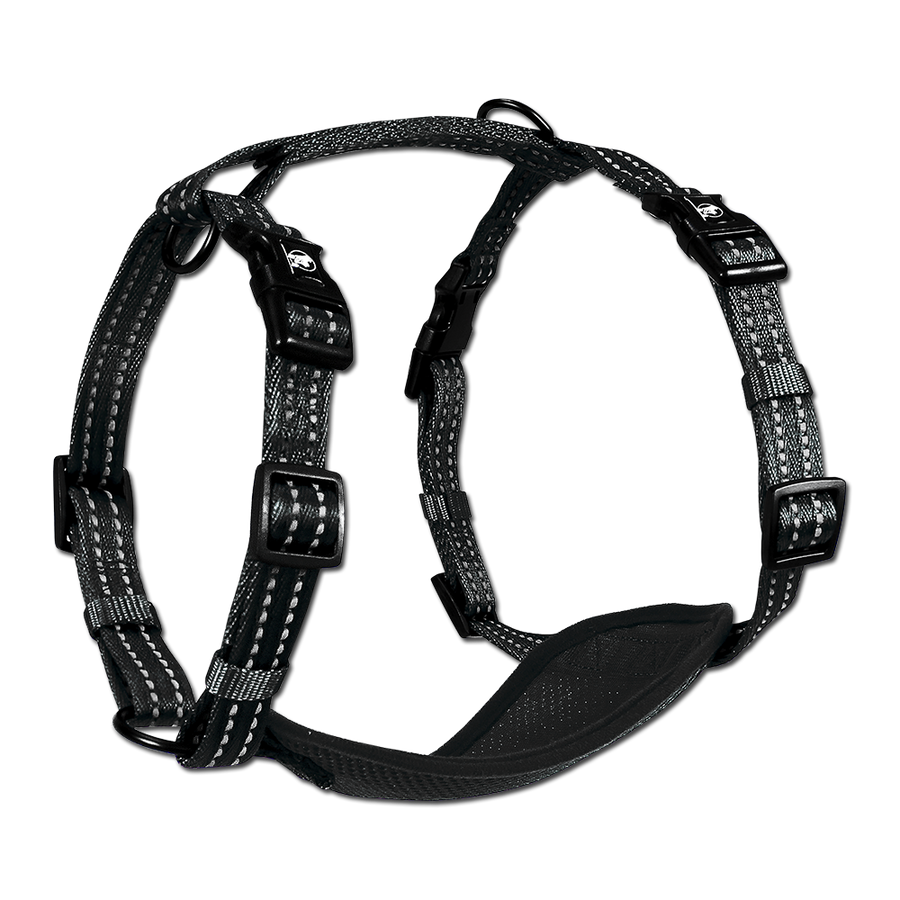 adventure harness