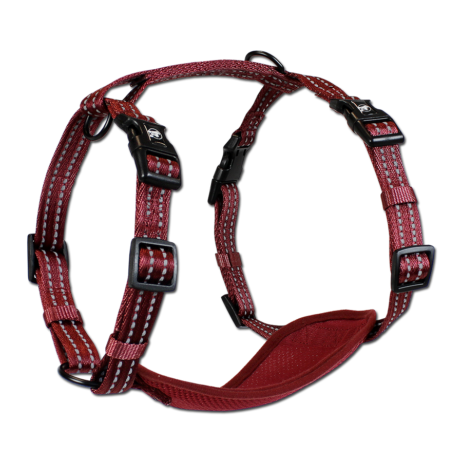 adventure harness
