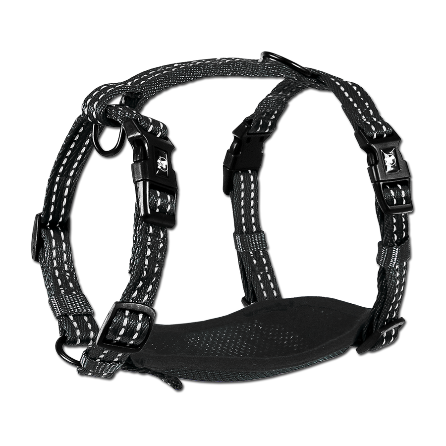 adventure harness