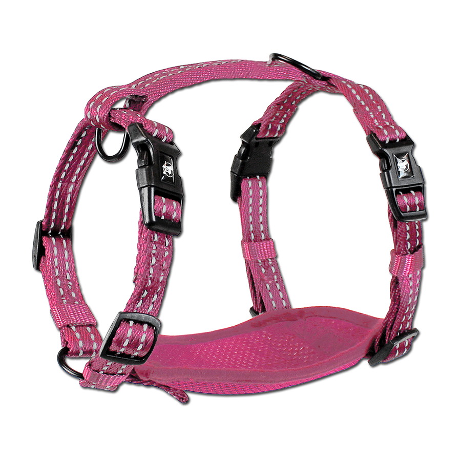 adventure harness