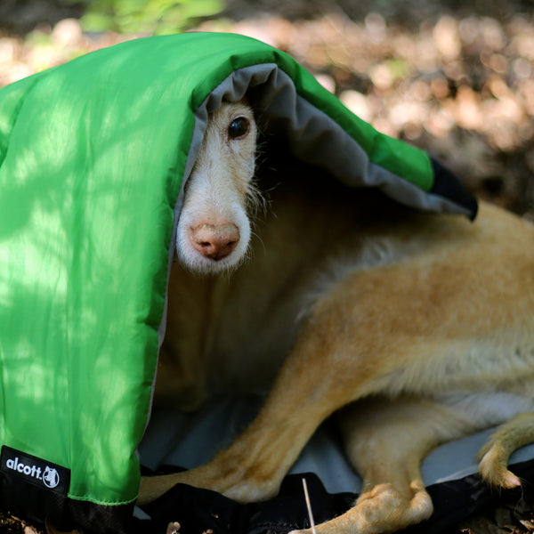 outdoor gear