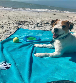 alcott adventure blanket spread on the beach with dog #lifestyle