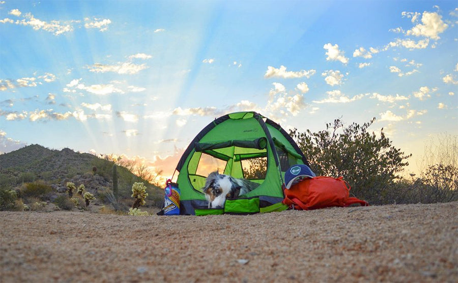 alcott pup tent sunset campsite