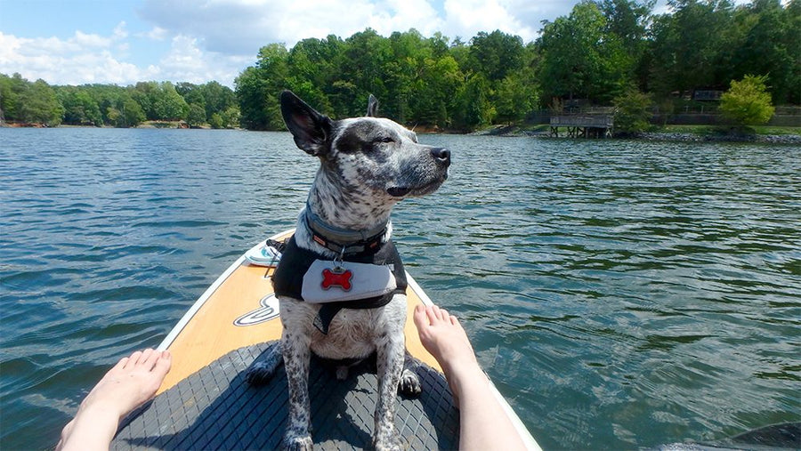 alcott water adventure jacket in canoe