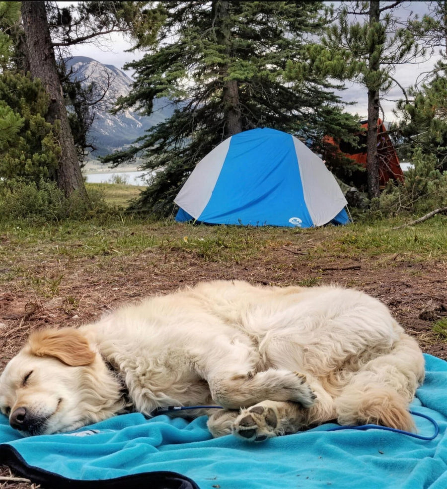 alcott adventure blanket at a forest campsite