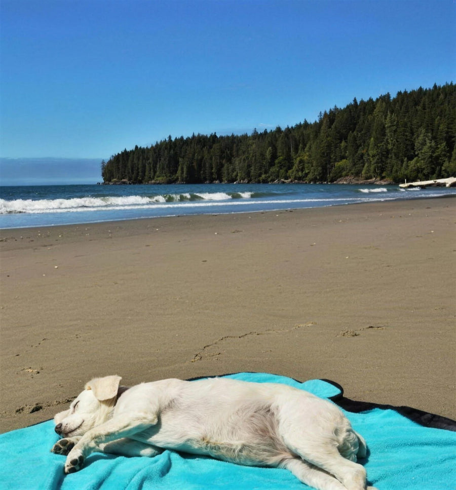 alcott adventure blanket on a black sand beach