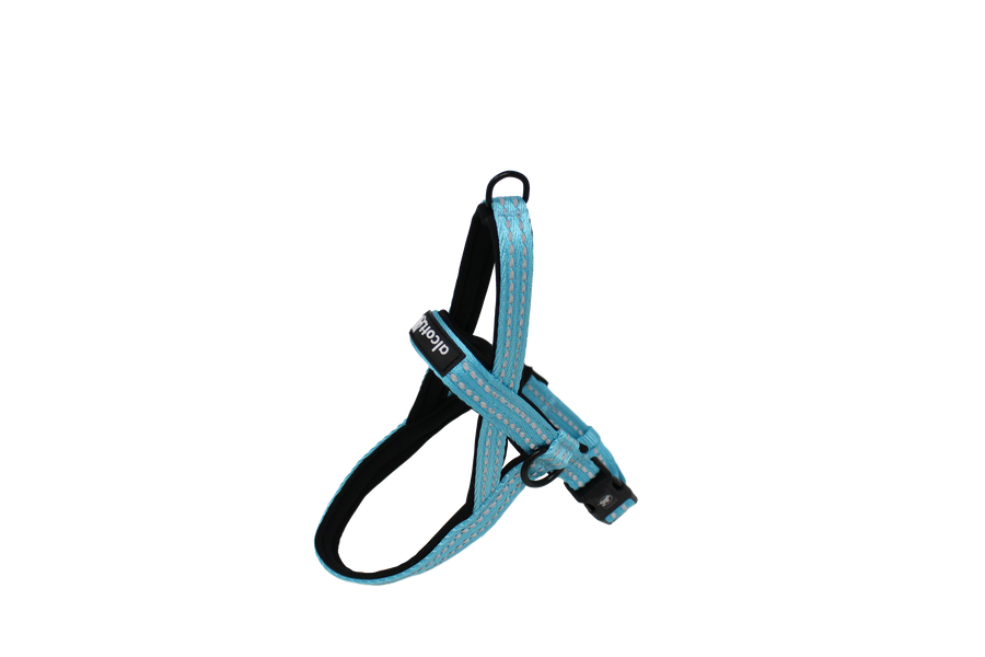 adventure kit in blue: norwegian harness
