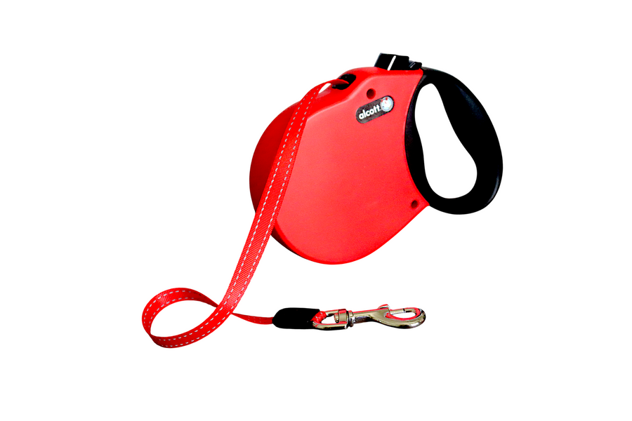adventure retractable leash