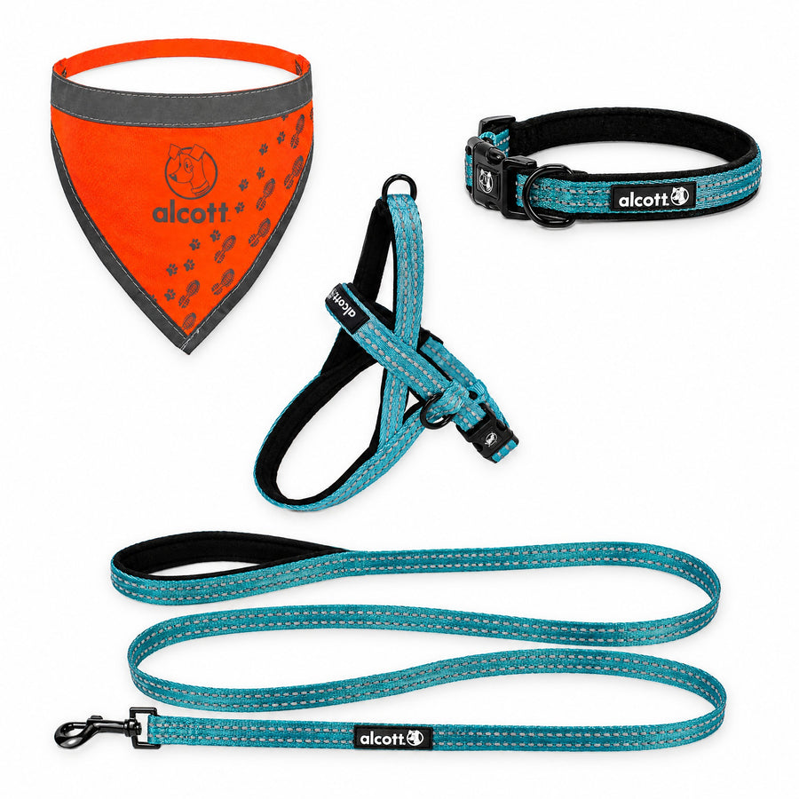 adventure kit with the adventure leash: norwegian harness, adventure leash, adventure collar and neon orange visibility bandana