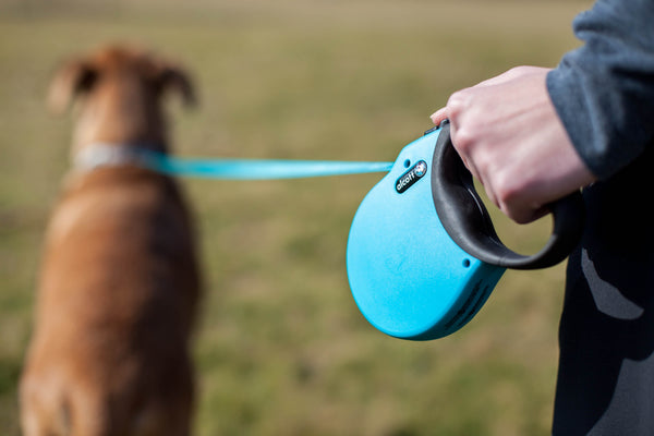 alcott  retractable dog leashes, nylon dog collars + leashes