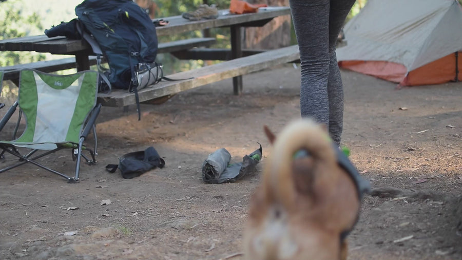 alcott pup tent set up in under a minute #lifestyle