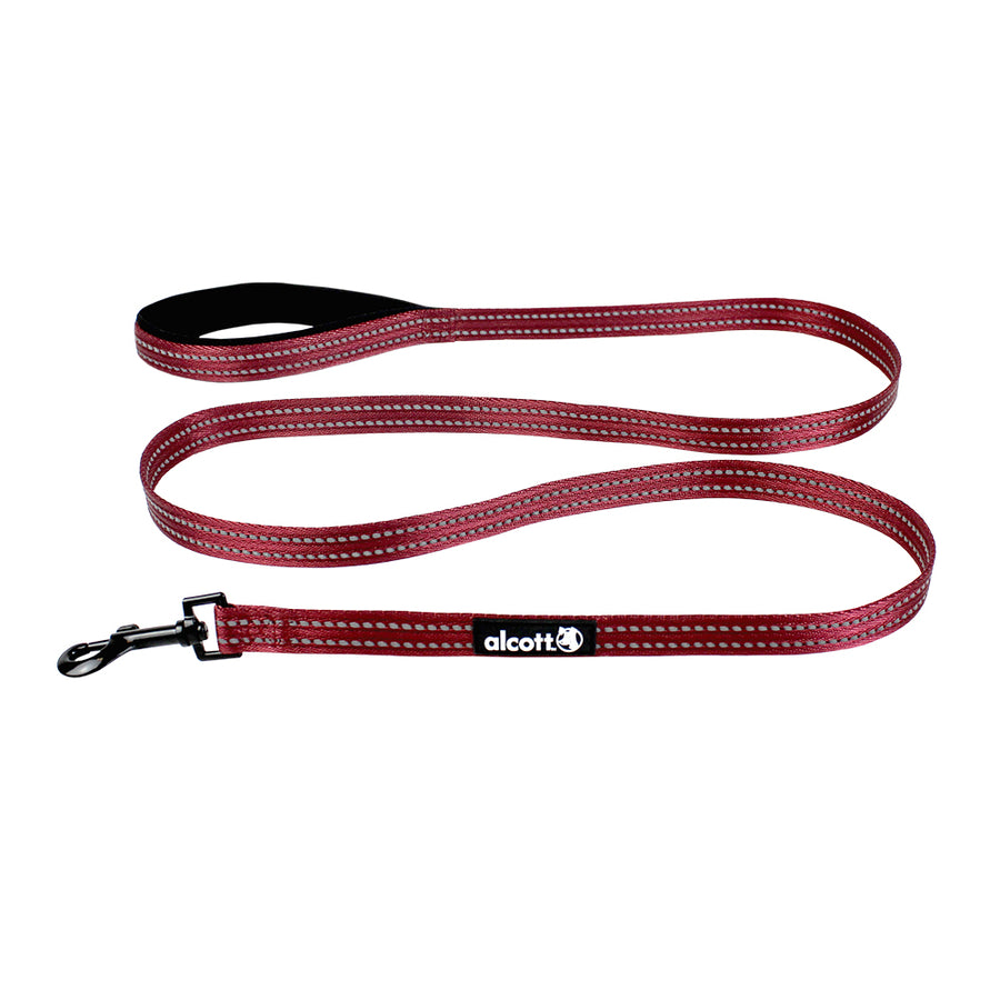 adventure leash