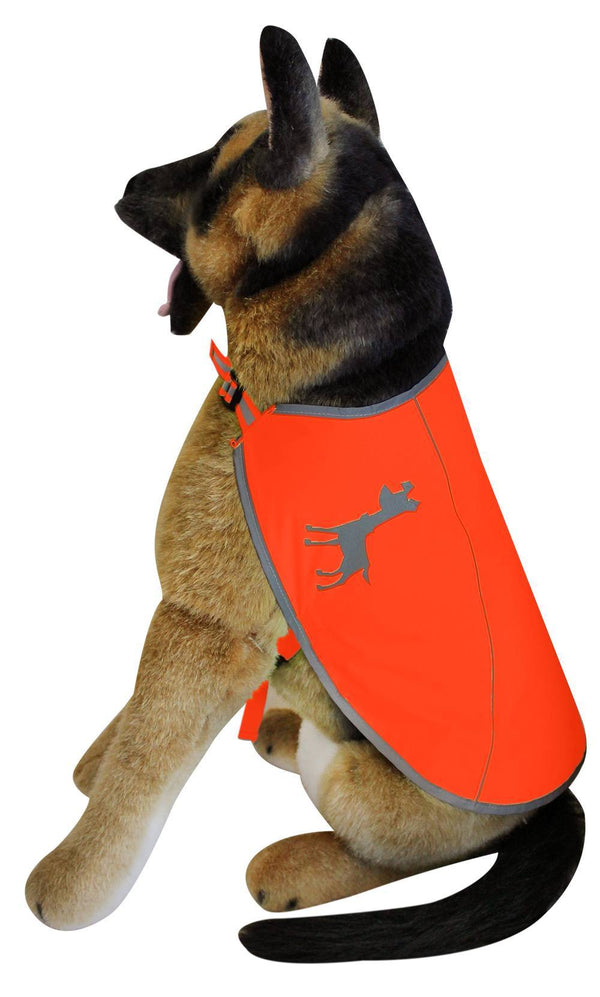 visibility dog vest