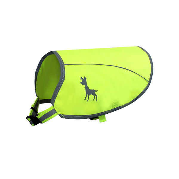 visibility dog vest