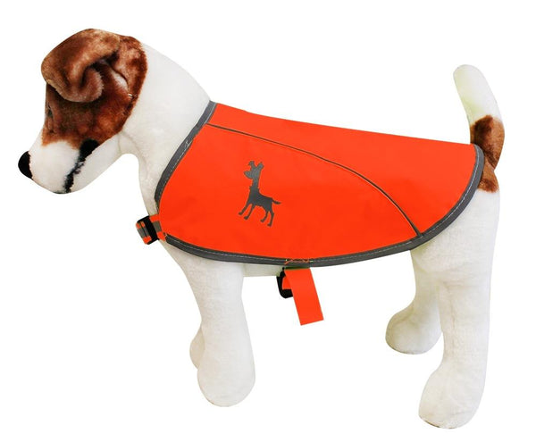 visibility dog vest