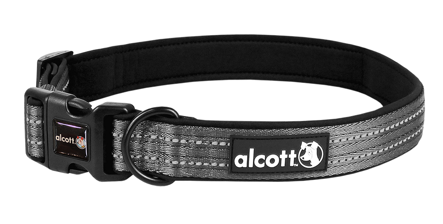 adventure collar