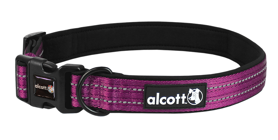 adventure collar