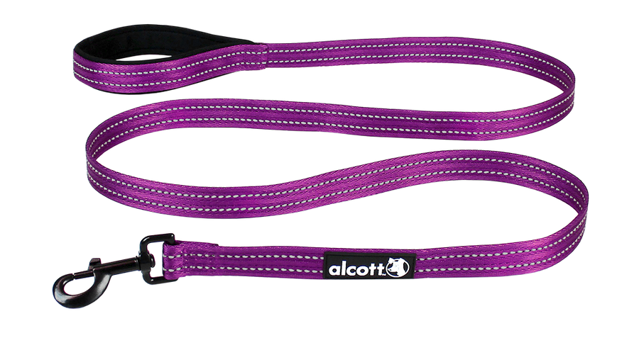 adventure leash