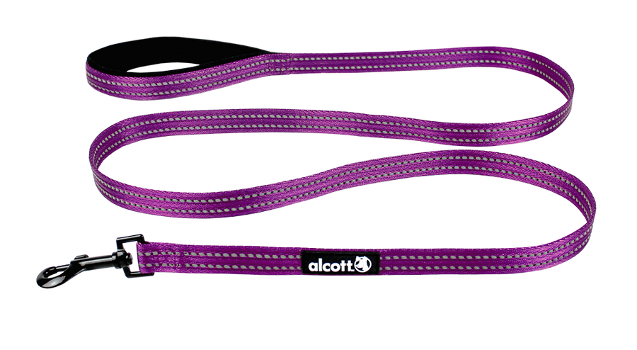 adventure leash