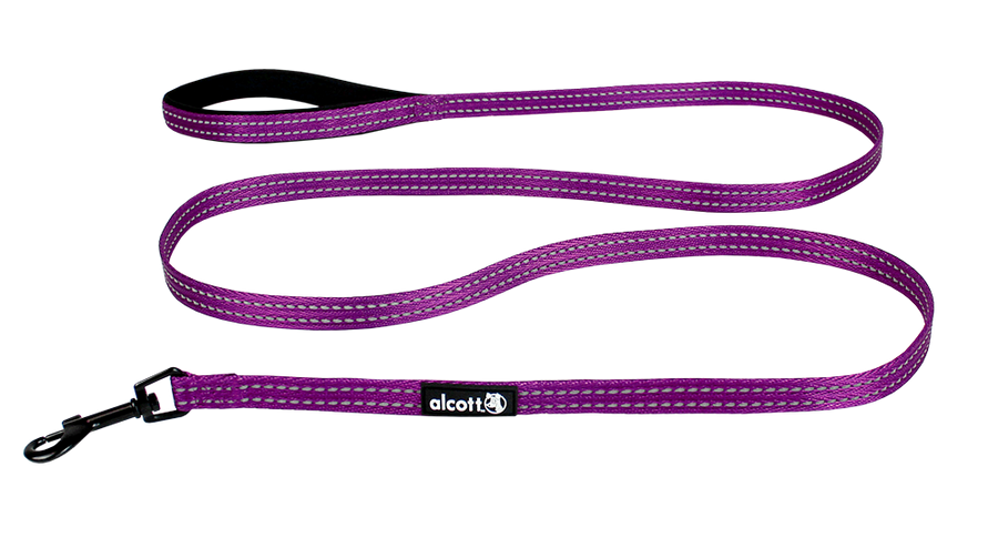 adventure leash
