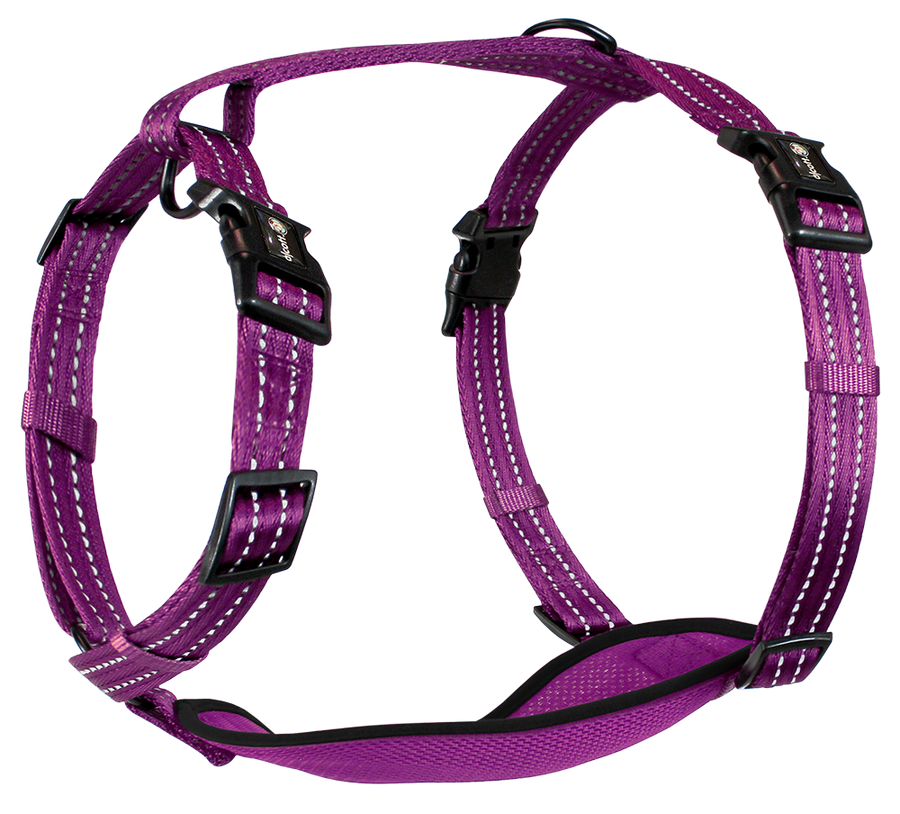 adventure harness