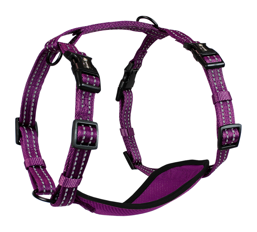 adventure harness
