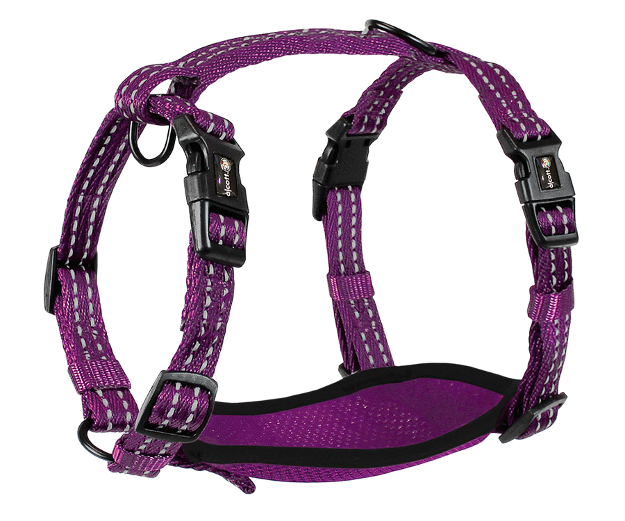 adventure harness