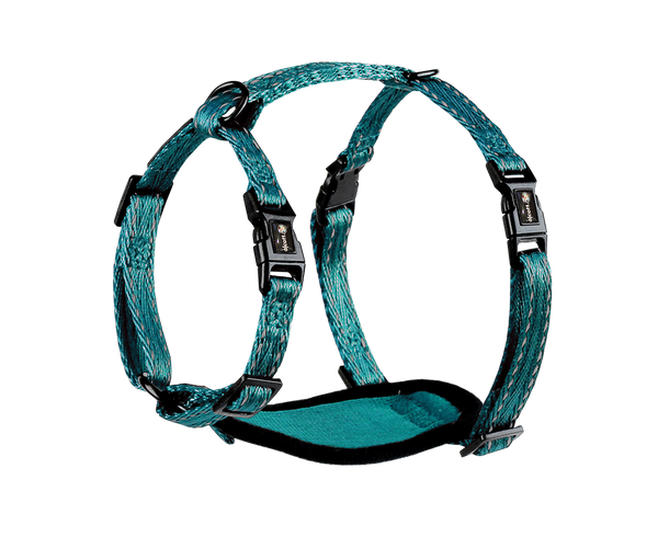 adventure harnesses