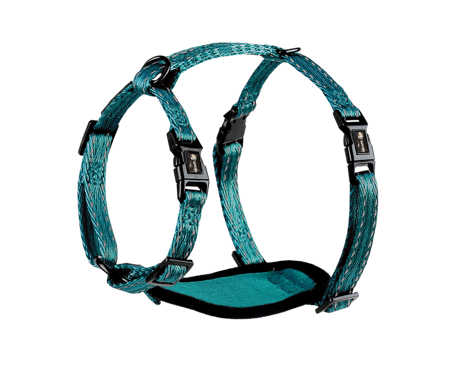 adventure harness