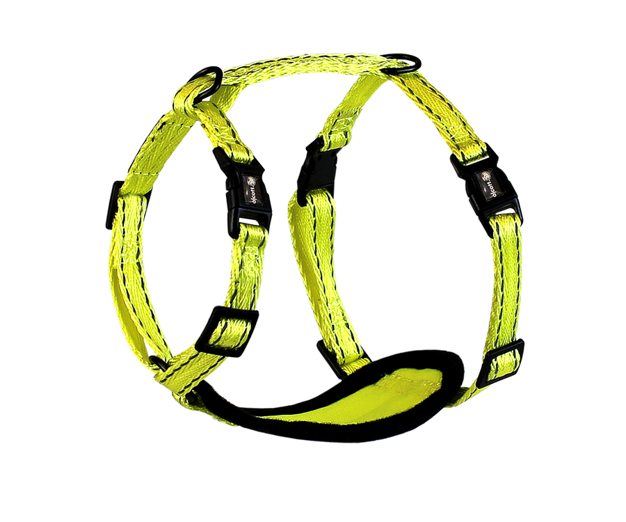 adventure harness
