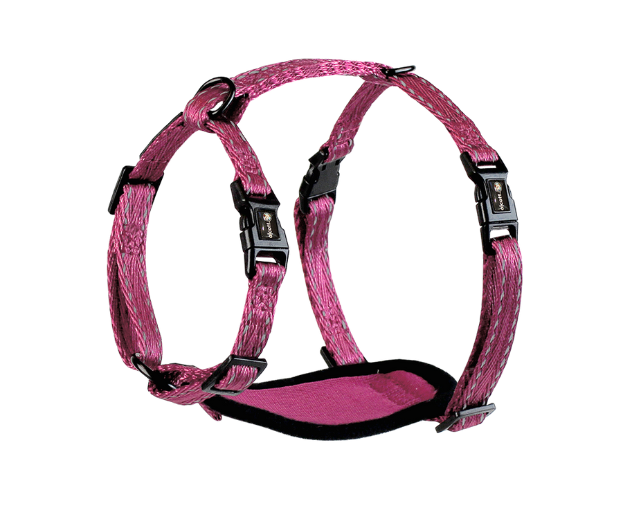 adventure harness