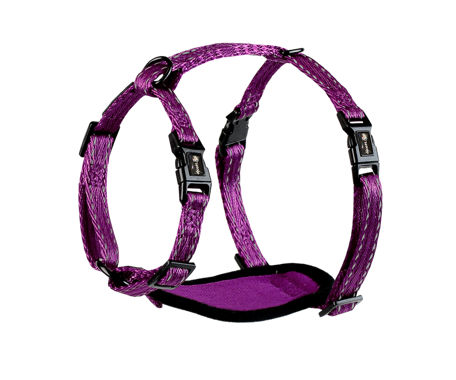 adventure harness
